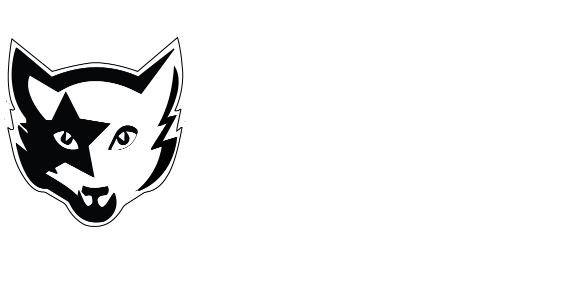 Olivier Renard - Graphic Design, Photography, Video, and other Media